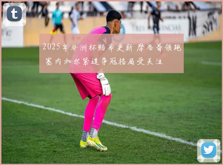 2025年非洲杯赔率更新 摩洛哥领跑 塞内加尔紧追争冠格局受关注