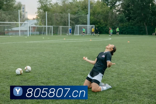 欧宝官方版网站登录入口 - 欧宝(中国)平台生态图